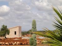 New outbuilding, new garden area