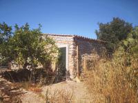 Single outbuilding of the farm