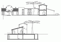 cross and longitudinal section