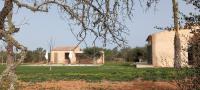 Garden with pool and outbuilding